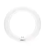 Osram LED Tube T9 SubstiTUBE Circular (EM/Mains) 12W 1320lm - 840 Cool White | Replaces 22W