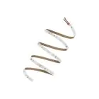 Ledvance LED Strip Value 500 24Wlm 2450lm 24v - 865 Daylight | 5M/8mm
